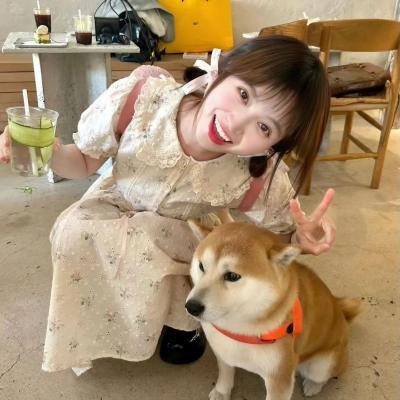 动画动漫